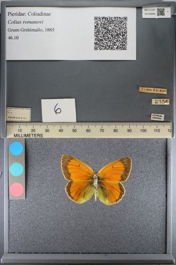Media type: image;   Entomology 193884